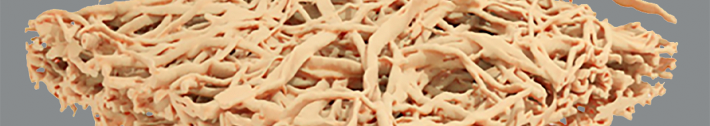 banniere-fiberbond-2025