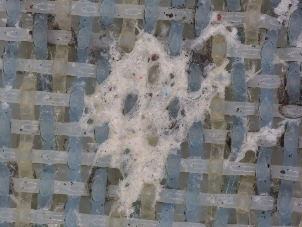 09-depot-toile-n-1-x100