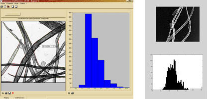 MorFi WT - Mesure de l’épaisseur des parois des fibres
