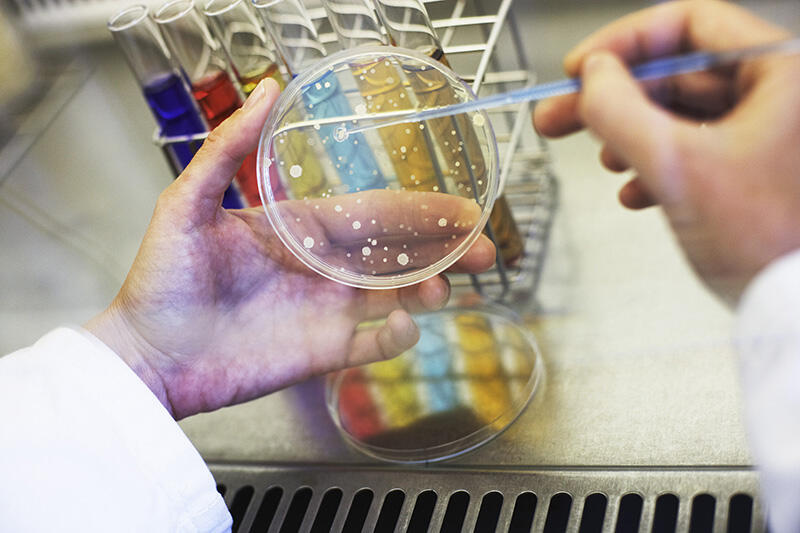 laboratoire-analyses-microbiologiques-2 laboratoire-analyses-microbiologiques-2