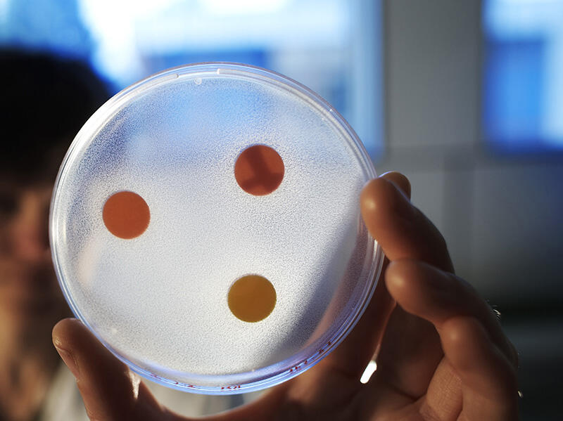 laboratoire-analyses-microbiologiques-3 laboratoire-analyses-microbiologiques-3