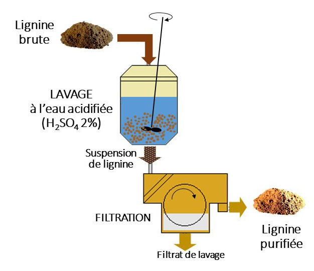 04_-_Pilote_lignines